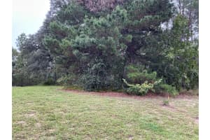 SW 134TH ST, OCALA, FL 34473 Sold 06/10/25