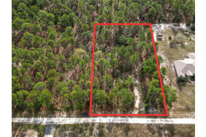 TBD SW 48TH LANE RD, OCALA, FL 34481 Sold 12/12/24