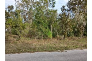 11755 BELLUZZI TERRACE, DUNNELLON, FL 34433 Sold 03/17/25
