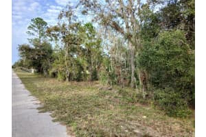 11755 BELLUZZI TERRACE, DUNNELLON, FL 34433 Sold 03/17/25