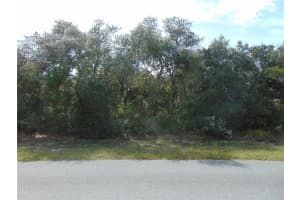 00 98TH LANE, OCALA, FL 34476 Sold 03/14/25
