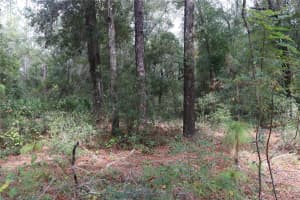 7543 RAINBOW STREET, DUNNELLON, FL 34433 Sold 12/02/24