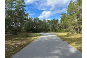 0000 32ND CIRCLE, OCALA, FL 34473 - MLS#MFROM689336