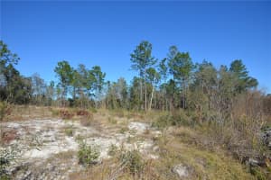 SW 144 PL, OCALA, FL 34473 - MLS#MFROM689378