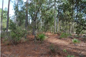 0 139TH STREET, OCALA, FL 34473 Sold 12/18/24