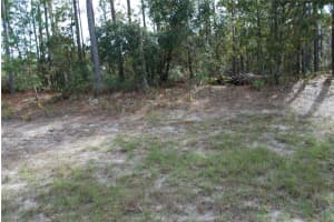 0 139TH STREET, OCALA, FL 34473 Sold 12/18/24