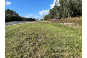 TBD NE HWY 27 ALT, WILLISTON, FL 32696 Sold 02/06/25