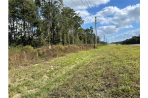 TBD NE HWY 27 ALT, WILLISTON, FL 32696 Sold 02/06/25