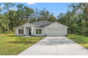 13366 CANADA GOOSE ROAD, WEEKI WACHEE, FL 34614 Sold 01/17/25