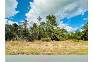 4456 MALALUKA CIRCLE, CITRUS SPRINGS, FL 34433 Sold 03/28/25