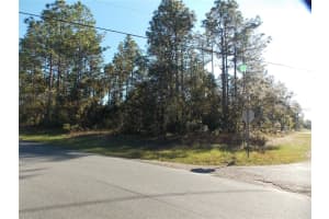 9432 CHERRY LAKE DRIVE, CITRUS SPRINGS, FL 34433 - MLS#MFROM689611