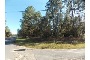 9432 CHERRY LAKE DRIVE, CITRUS SPRINGS, FL 34433 - MLS#MFROM689611