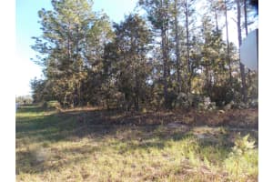 9432 CHERRY LAKE DRIVE, CITRUS SPRINGS, FL 34433 - MLS#MFROM689611