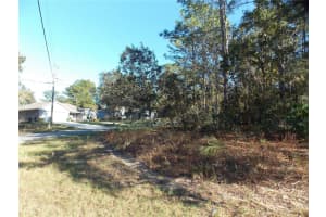 9432 CHERRY LAKE DRIVE, CITRUS SPRINGS, FL 34433 - MLS#MFROM689611