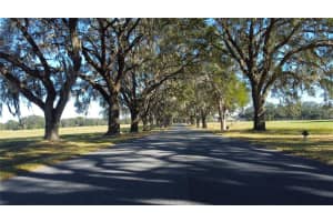 TBD 116TH PLACE ROAD, OCALA, FL 34480 Sold 03/28/25