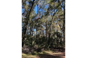 TBA 91ST LOOP, DUNNELLON, FL 34432 Sold 05/15/25