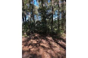 TBA 91ST LOOP, DUNNELLON, FL 34432 Sold 05/15/25