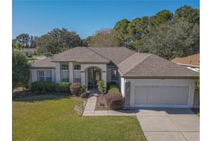 13020 93RD CIRCLE, SUMMERFIELD, FL 34491 Sold 01/17/25