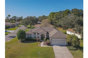 13020 93RD CIRCLE, SUMMERFIELD, FL 34491 Sold 01/17/25