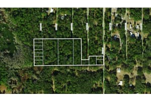 TBD NE 137TH COURT, FORT MC COY, FL 32134 - MLS#MFROM690054
