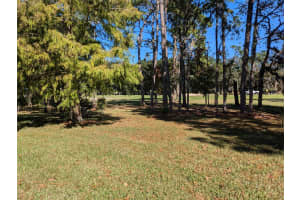 11547 70TH COURT, OCALA, FL 34476 Sold 01/31/25