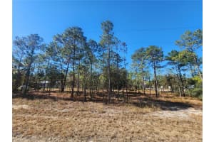 T.B.D SE 144TH, WILLISTON, FL 32696 Sold 04/21/25