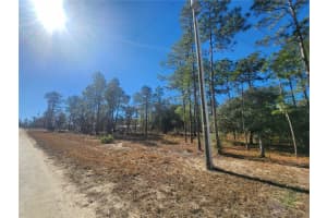 T.B.D SE 144TH, WILLISTON, FL 32696 Sold 04/21/25