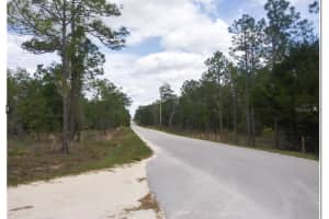 T.B.D SE 144TH, WILLISTON, FL 32696 Sold 04/21/25