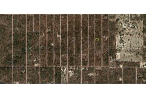 10799 135TH COURT, DUNNELLON, FL 34431 - MLS#MFROM690189