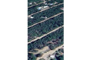 000 238TH PLACE, FORT MC COY, FL 32134 Sold 05/09/25