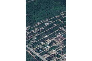 000 238TH PLACE, FORT MC COY, FL 32134 Sold 05/09/25