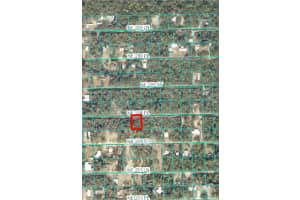 000 238TH PLACE, FORT MC COY, FL 32134 Sold 05/09/25