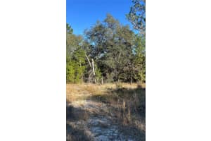10729 132ND COURT, DUNNELLON, FL 34431 - MLS#MFROM690240