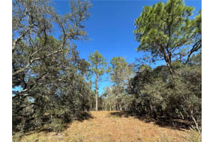 14731 5TH PLACE, WILLISTON, FL 32696 - MLS#MFROM690285