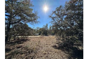 14731 5TH PLACE, WILLISTON, FL 32696 - MLS#MFROM690285
