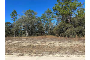 14731 5TH PLACE, WILLISTON, FL 32696 - MLS#MFROM690285