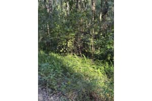 TBD 7TH STREET, OCALA, FL 34482 - MLS#MFROM690309