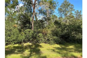SW 37TH TER, OCALA, FL 34473 Sold 01/08/25