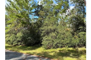 SW 37TH TER, OCALA, FL 34473 Sold 01/08/25