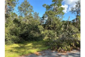 SW 37TH TER, OCALA, FL 34473 Sold 01/08/25