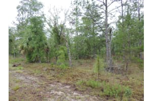 TBD PONY RIDGE, DUNNELLON, FL 34431 - MLS#MFROM690438