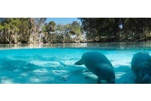 708 HALLAM DRIVE, CITRUS SPRINGS, FL 34434 - MLS#MFROM690449