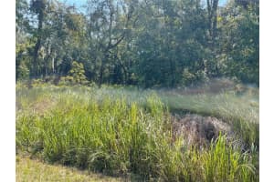 0 LOCUST RUN, OCALA, FL 34470 Sold 01/10/25