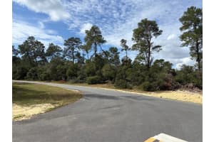 0 SW 176TH LANE ROAD, OCALA, FL 34473 - MLS#MFROM690549
