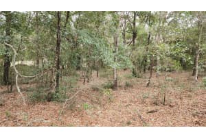 790 ABNER PLACE, DUNNELLON, FL 34434 Sold 06/25/25