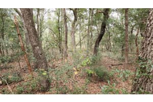 790 ABNER PLACE, DUNNELLON, FL 34434 Sold 06/25/25