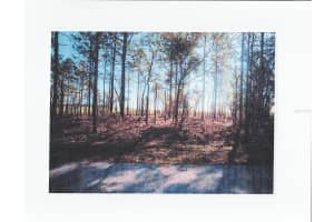 Blk 35, Lots 25,26 BUENA VISTA ROAD, DUNNELLON, FL 34431 Sold 02/20/26