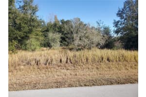 19 HEMLOCK RADIAL PASS, OCALA, FL 34472 Sold 12/27/24