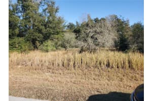 19 HEMLOCK RADIAL PASS, OCALA, FL 34472 Sold 12/27/24