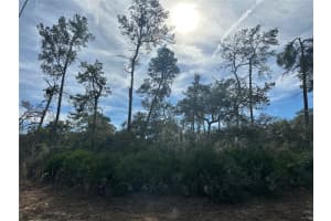 0000 25 TERRACE ROAD, OCALA, FL 34473 Sold 03/26/25
